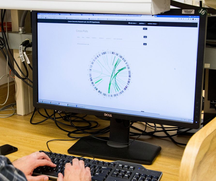 Data Analysis Services